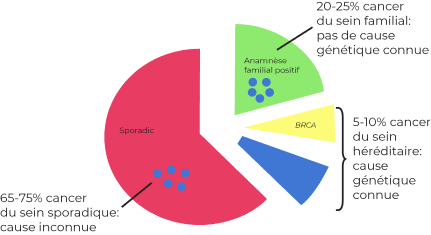 Cancer du sein héréditaire - Graphique en secteurs