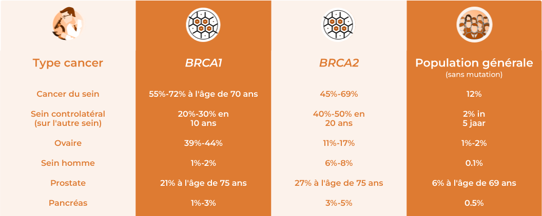 Risques à vie pour la personne porteuse de la mutation BRCA - Tableau