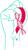 BRCA+ network