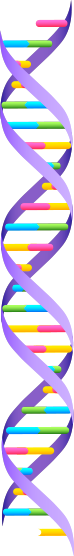 DNA