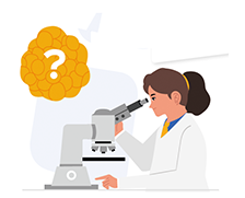 moleculair onderzoek