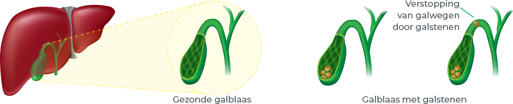 Galstenen gedetailleerde illustratie