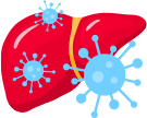 Hepatitisvirus
